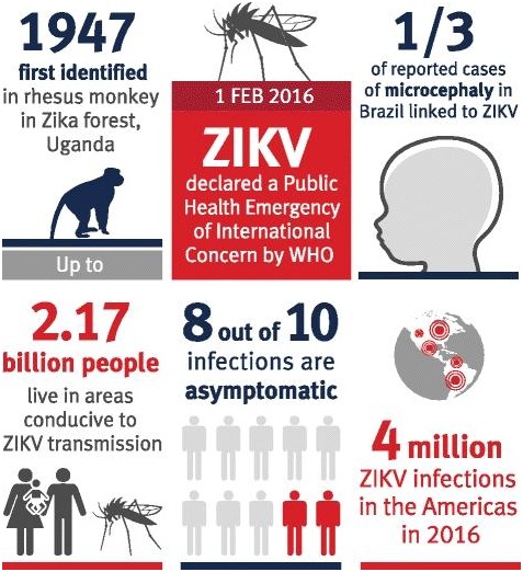 Zika virus history