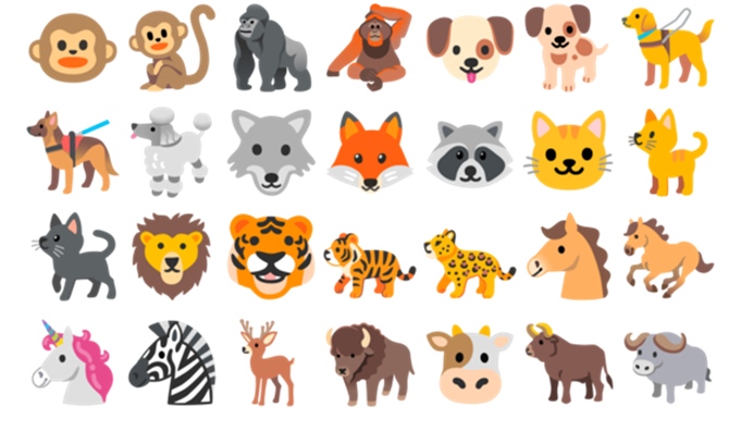 Animal