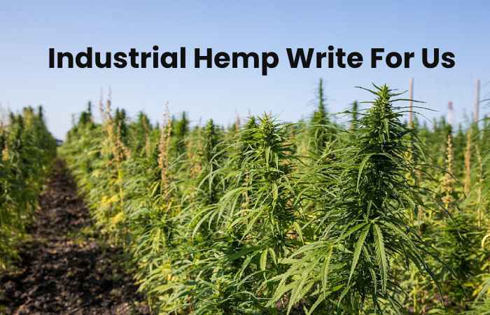 Industrial Hemp Write For Us