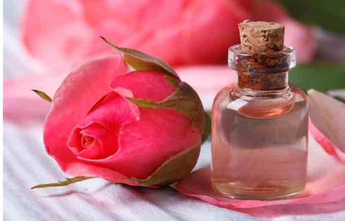 what is rose water