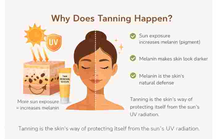why does tanning happen
