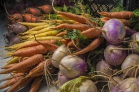 december is root vegetable awareness month